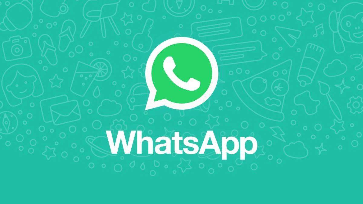WhatsApp消息群发技巧，提升信息触达效率的有效手段