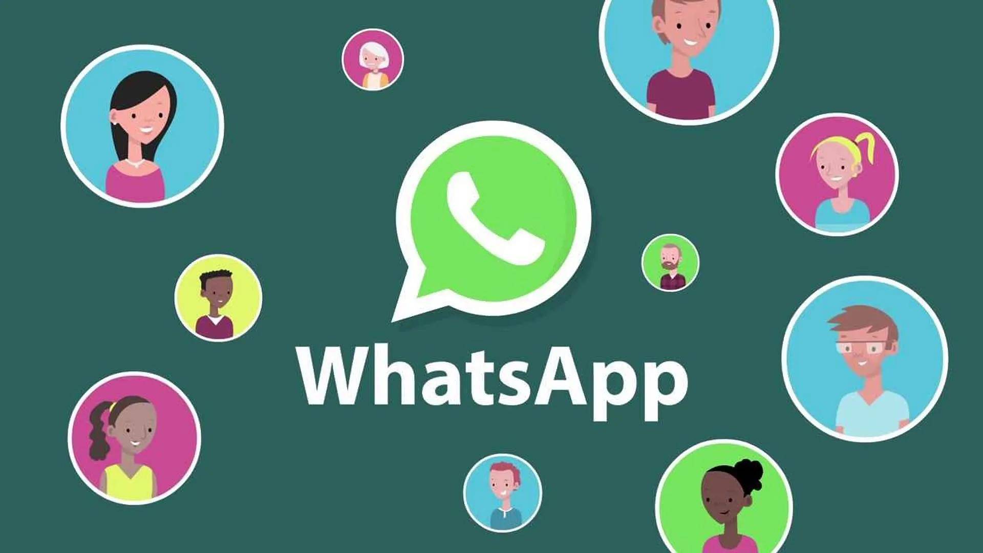 提升WhatsApp消息群发效率，高效触达信息的技巧
